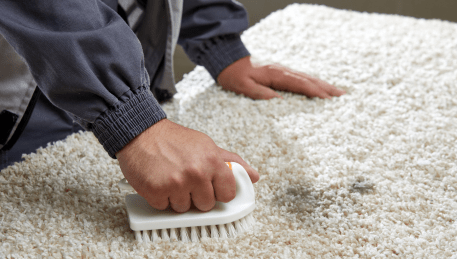 Professional Rug Cleaning Clarinda